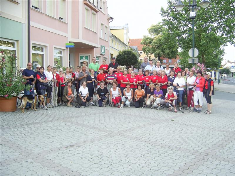 2008-07-13 10-jhriges Oldtimertreffen in Pinkafeld